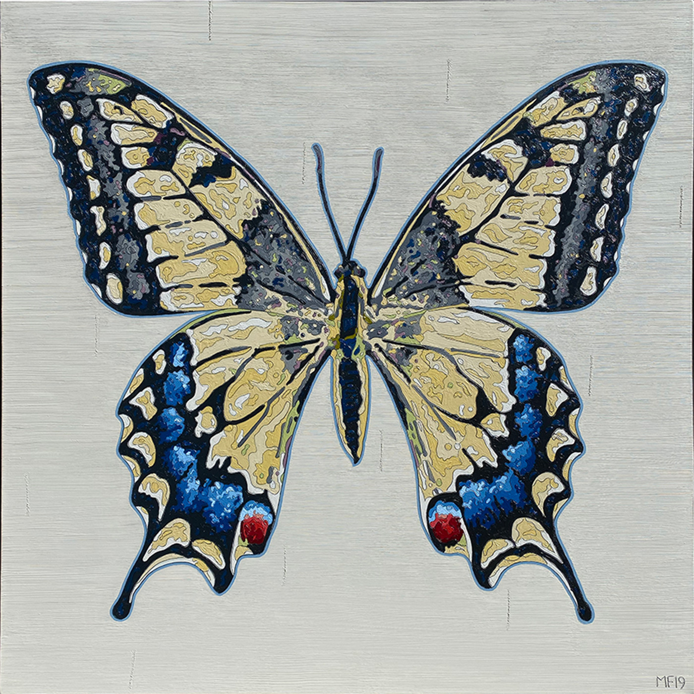 Frederick Swallowtail